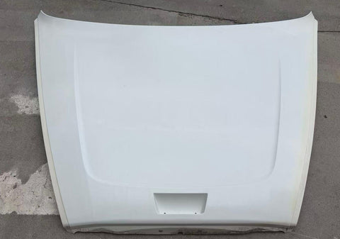 GA-FR-117-1-DW HOOD BODY PARTS Roof panels For Freightliner Cascadia 2018+  GA-FL1205-01
